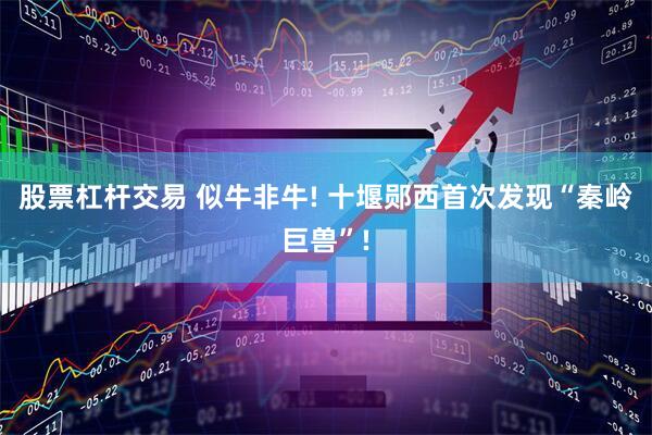 股票杠杆交易 似牛非牛! 十堰郧西首次发现“秦岭巨兽”!